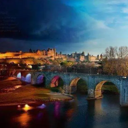 Elegante A Avec Jardin Et Jacuzzi Carcassonne
